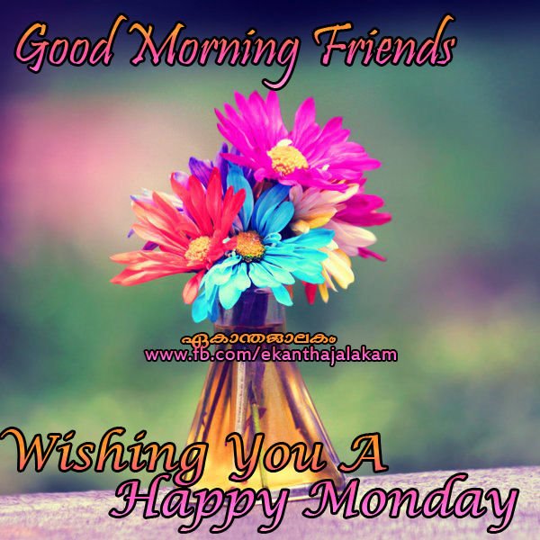 Good Morning Friends Wishing You A Happy Monday Status