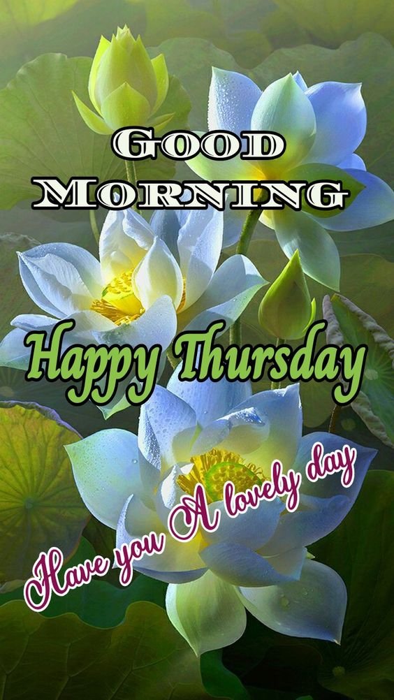 Good Morning Happy Thursday Have You A Lovely Day Status