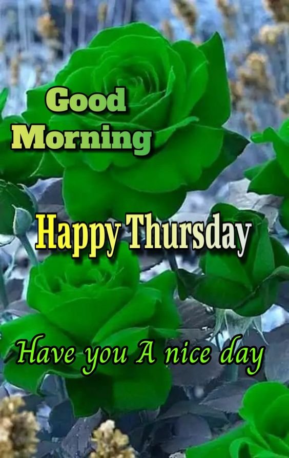 Good Morning Happy Thursday Have You A Nice Day Photo