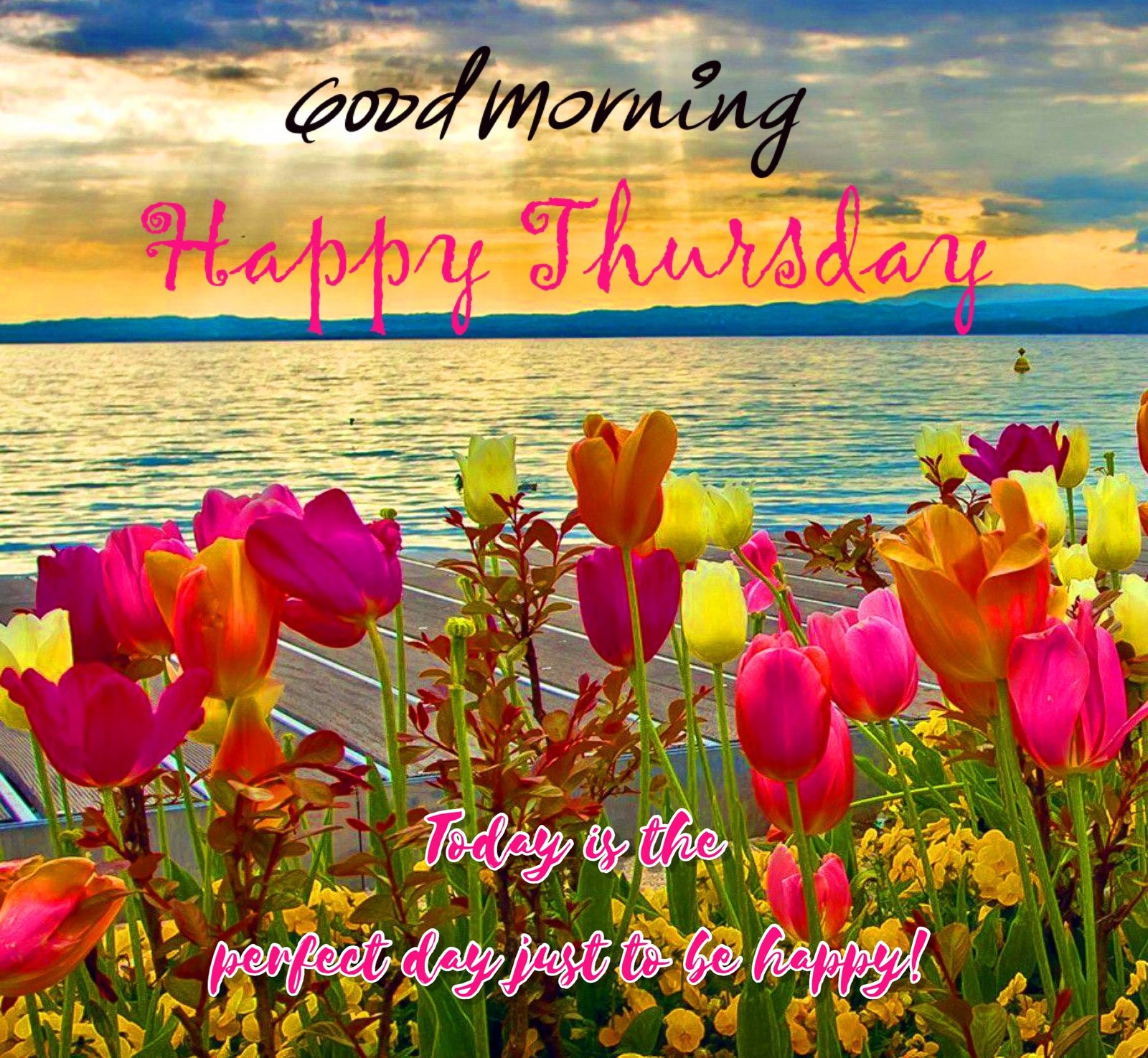 Good Morning Happy Thursday Today Is A Perfect Day Status