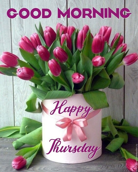 Good Morning Happy Thursday With Tulip Image