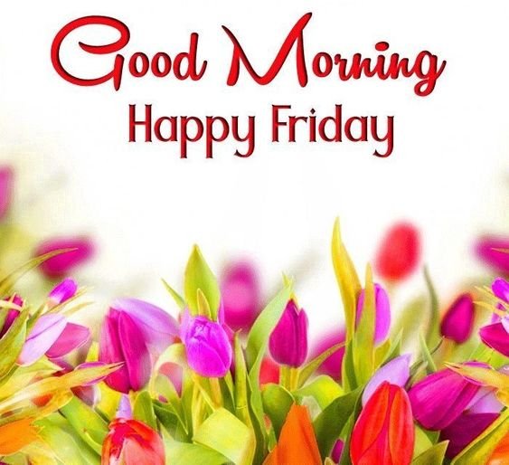 Good Morning Happy Friday Status