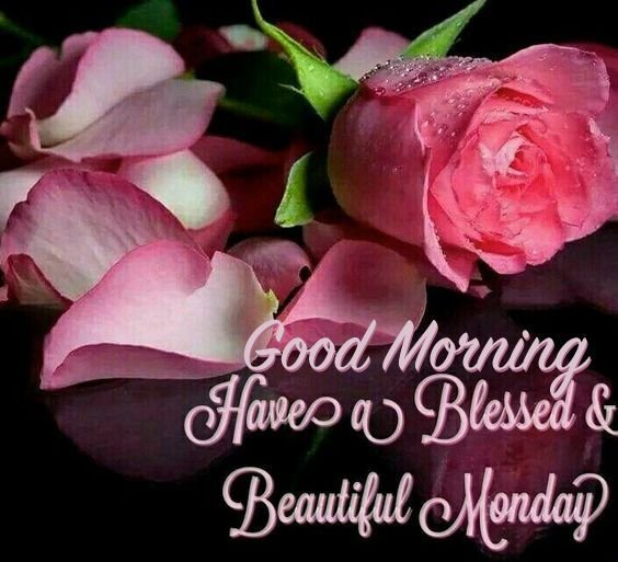 Good Morning Have A Blessed & Beautiful Monday Pic