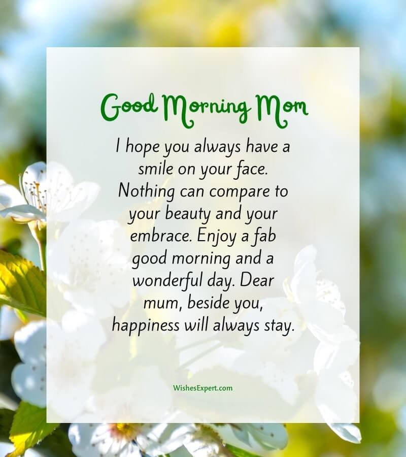 Good Morning Mom Have A Womderful Day Pic