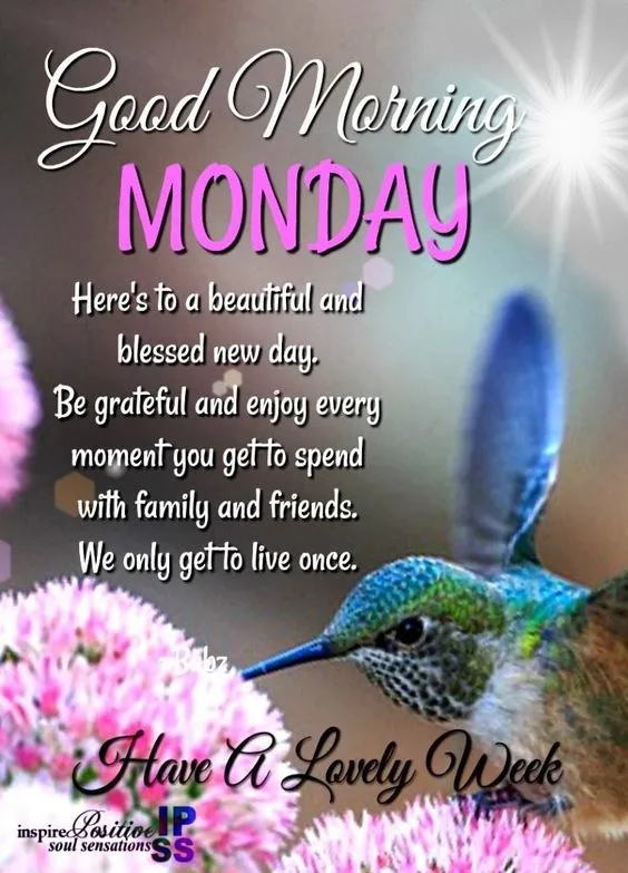 Good Morning Monday Have A Lovely Week Status