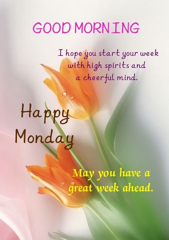 Good Morning Morning May You Have A Great Week Ahead Status