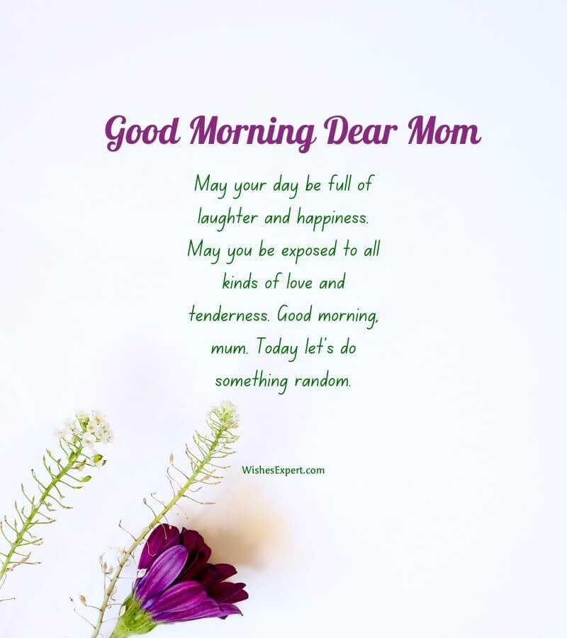 Good Morning My Dear Mom Status