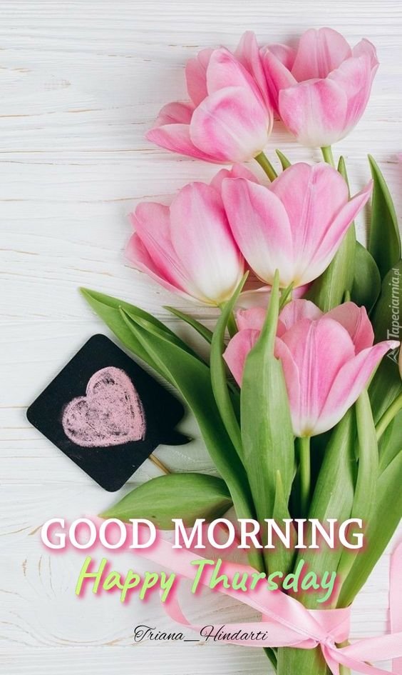 Good Morning Thursday With Beautiful Pink Flower Photo
