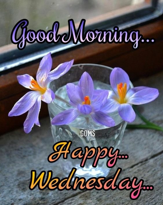 Good Morning Wishes Wednesday Images - Good Morning Pictures