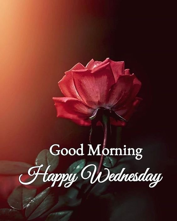 Good Morning Wishes Wednesday Images - Good Morning Pictures