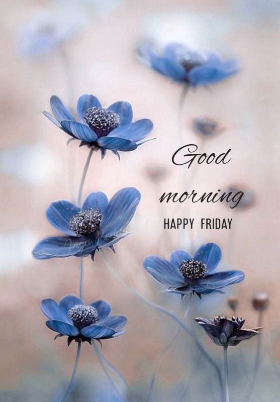 Happy Friday Good Morning With Blue Flower Status