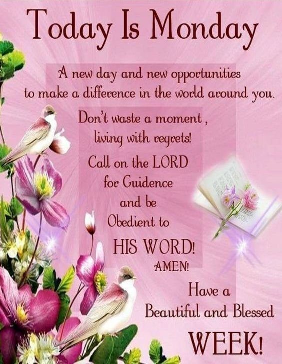 Happy Monday Have A Blessed & Beautiful Day