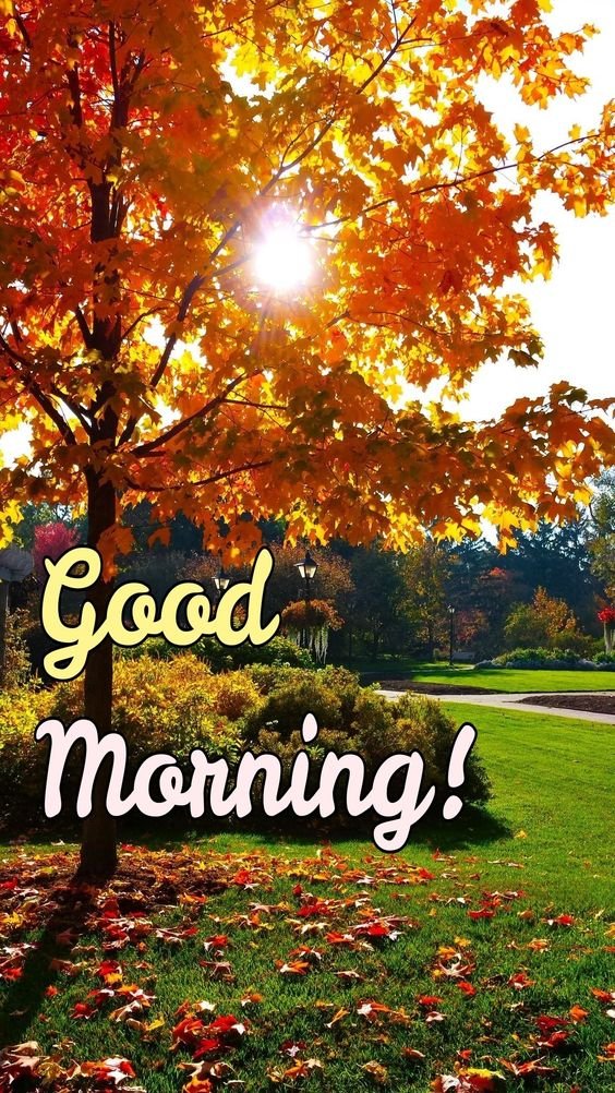 Seasons Good Morning Wishes Images - Good Morning Pictures