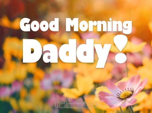 Good Morning Daddy Have A Beautiful Day Status