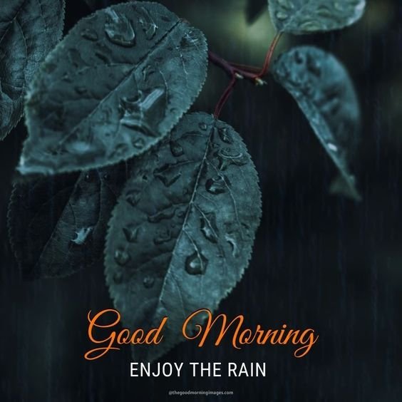 Good Morning Enjoy The Rain Picture