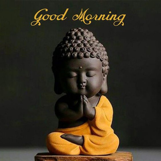 Good Morning Lord Buddha Have A Beautiful Day Photo