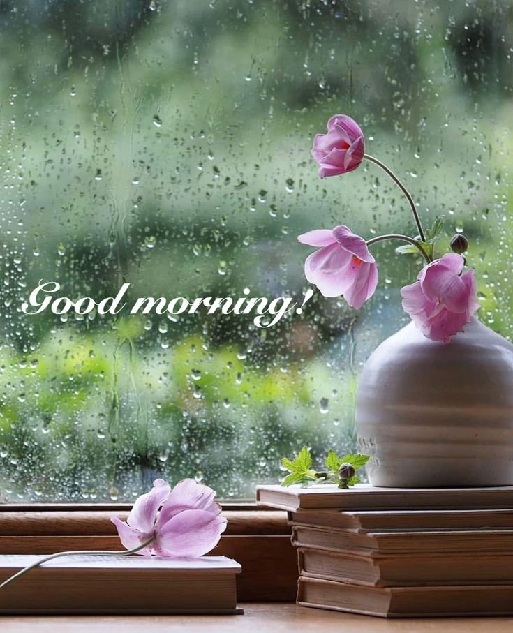 Good Morning Rain Cheerful Peaceful Image