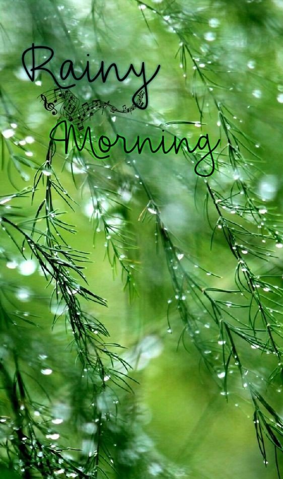 Good Morning Rainy Background Photo