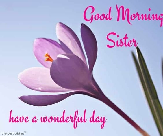 Good Morning Sister Have A Wonderful Day