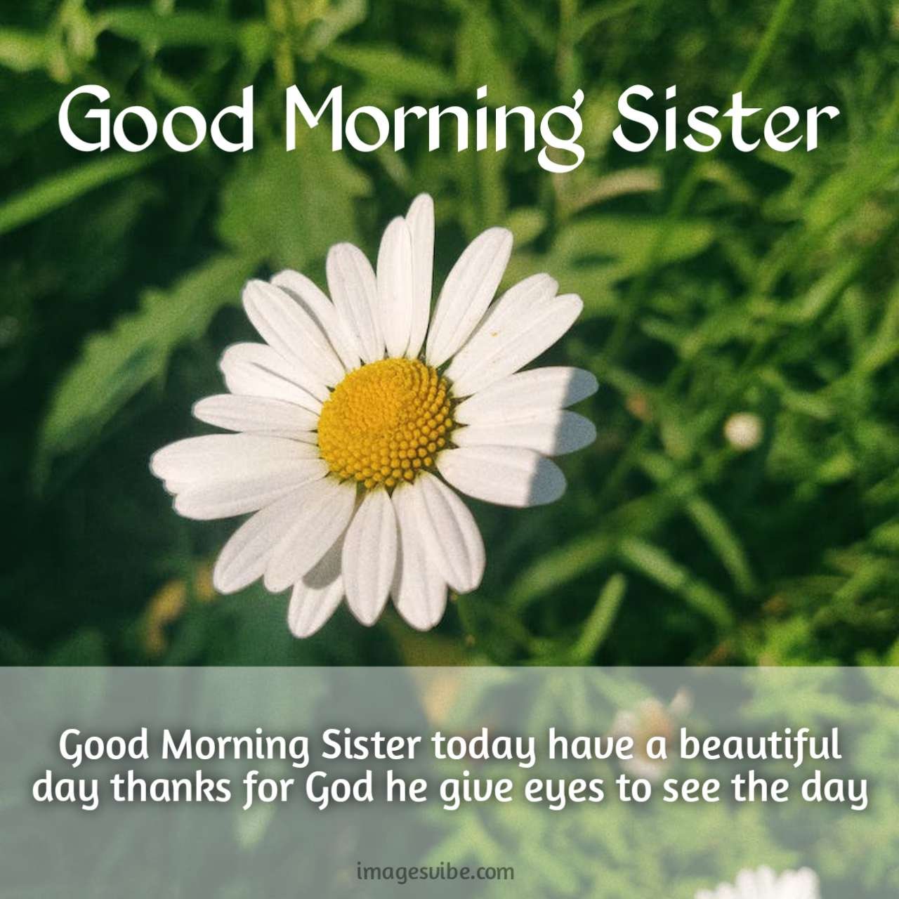 Good Morning Wishes Sister Images - Good Morning Pictures