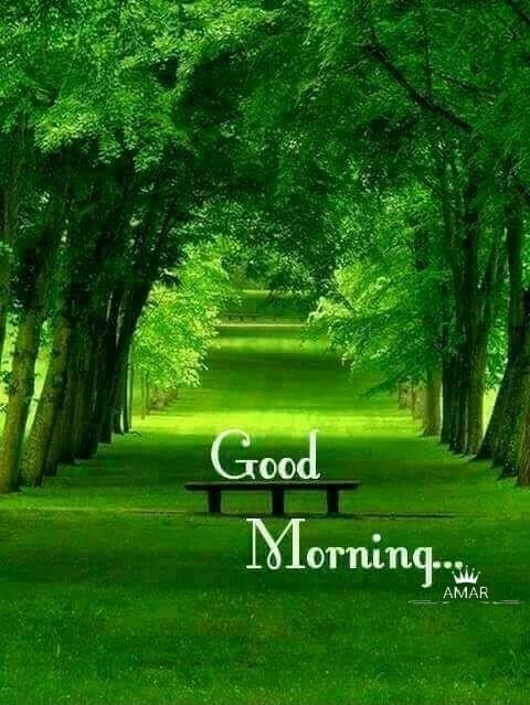 Good Morning Wishes Nature Images - Good Morning Pictures