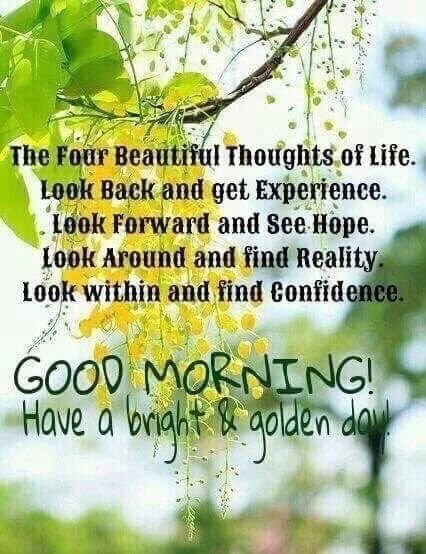Good Morning Have A Bright And Golden Day Status