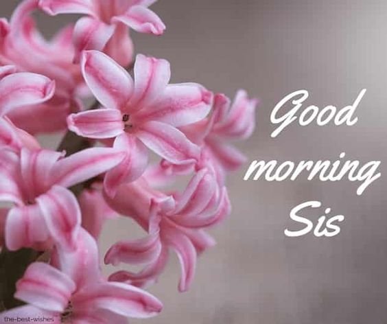 Sis Good Morning