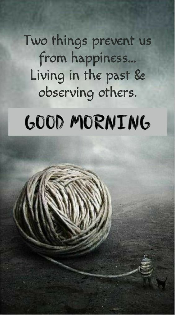 Two Thing Prevent Us From Happiness Living In Past And Observing Good Morning Pic