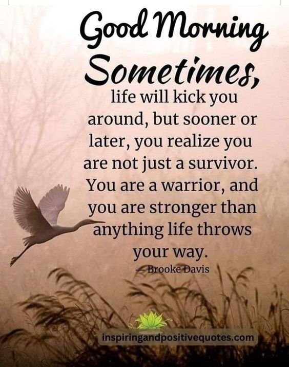 You Are Stronger Than Anything Life Throws Your Way Picture