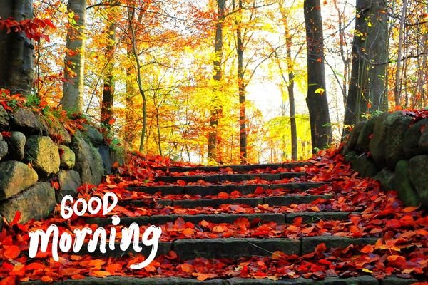 Best Fall Good Morning Image