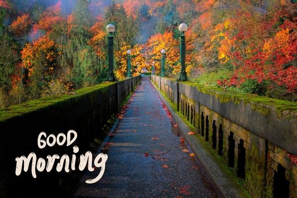Best Fall Good Morning Pic