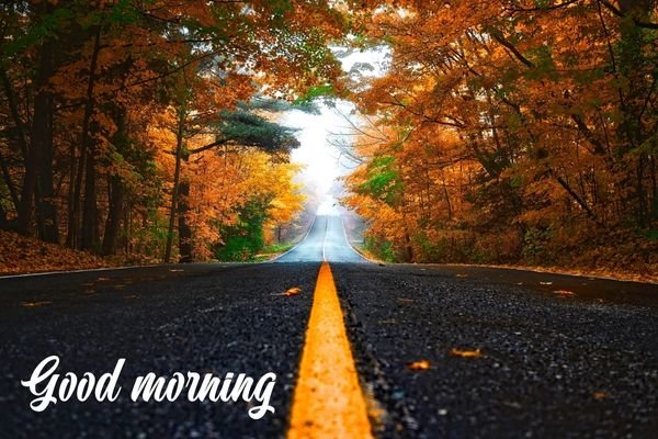 Fall Good Morning Photo