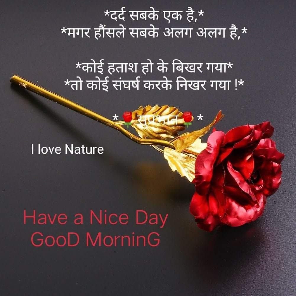 Good Morning Hindi Have A Nice Day