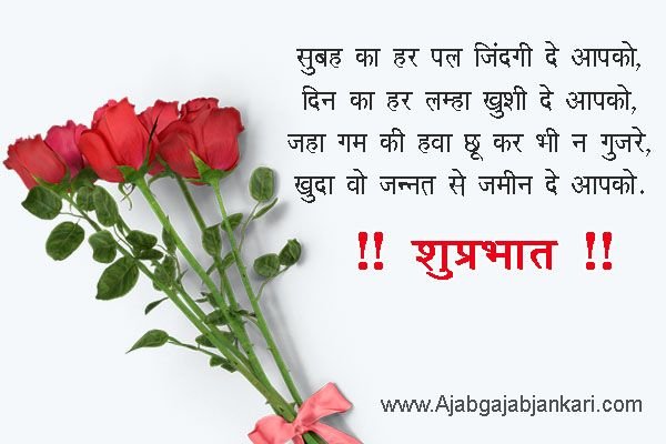 Good Morning Hindi Message Photo