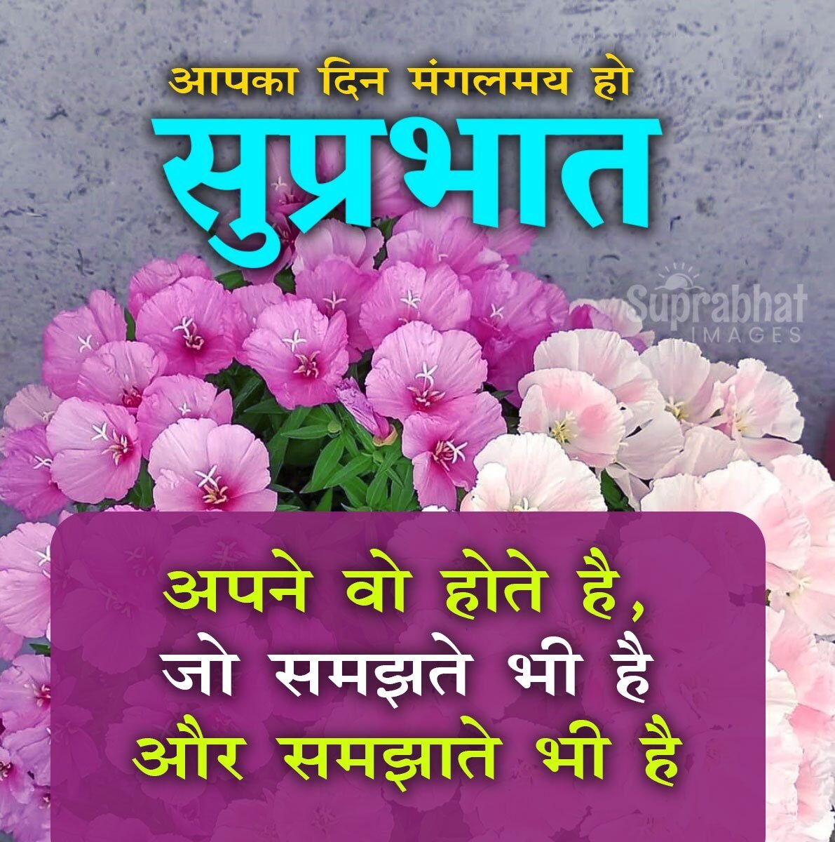 Good Morning Quotes In Hindi Image