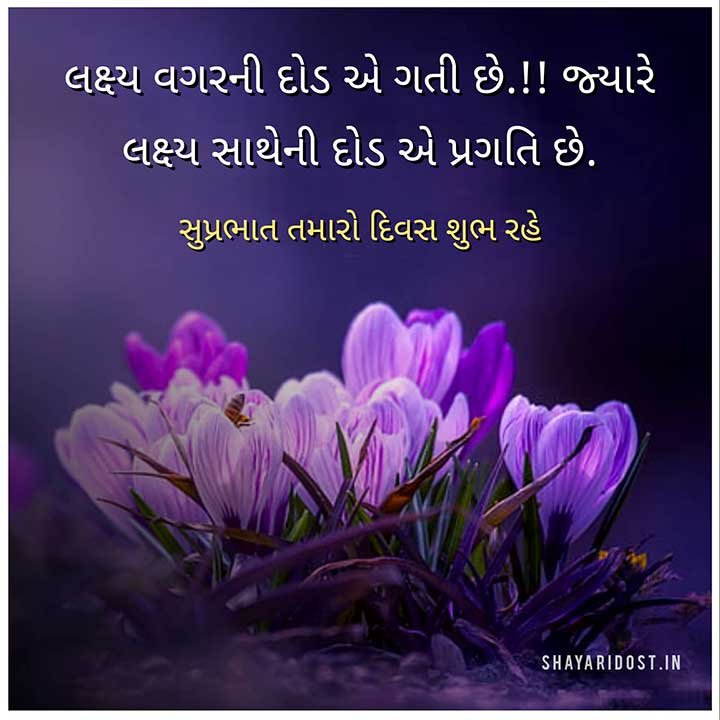 Amazing Good Morning Gujarati Photo