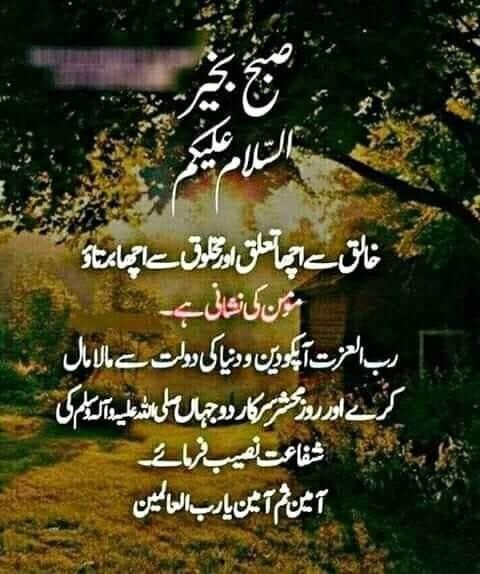 Amazing Good Morning Urdu Photo