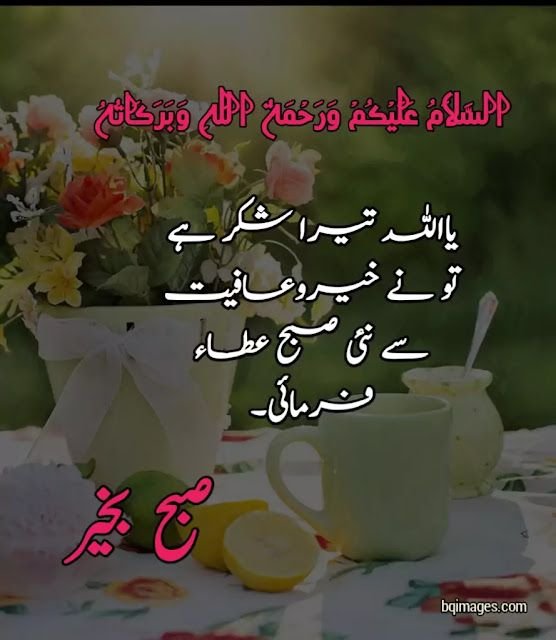 Amazing Good Morning Urdu Pics