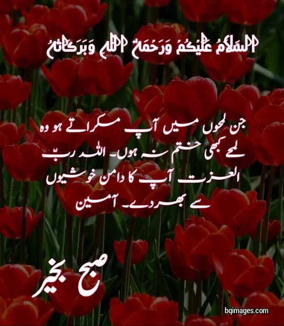 Amazing Good Morning Urdu