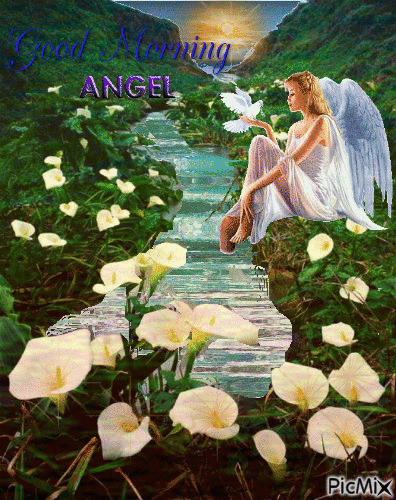 Angel Good Morning Gif With White Flowers