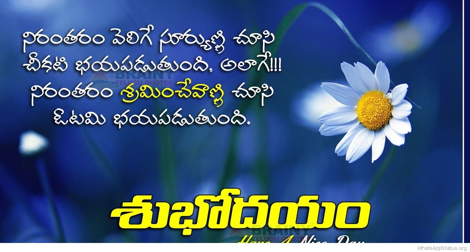 Beautiful Good Morning Telugu Pic