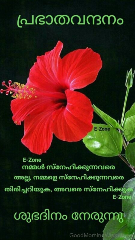 Best Good Morning Malayalam Quote