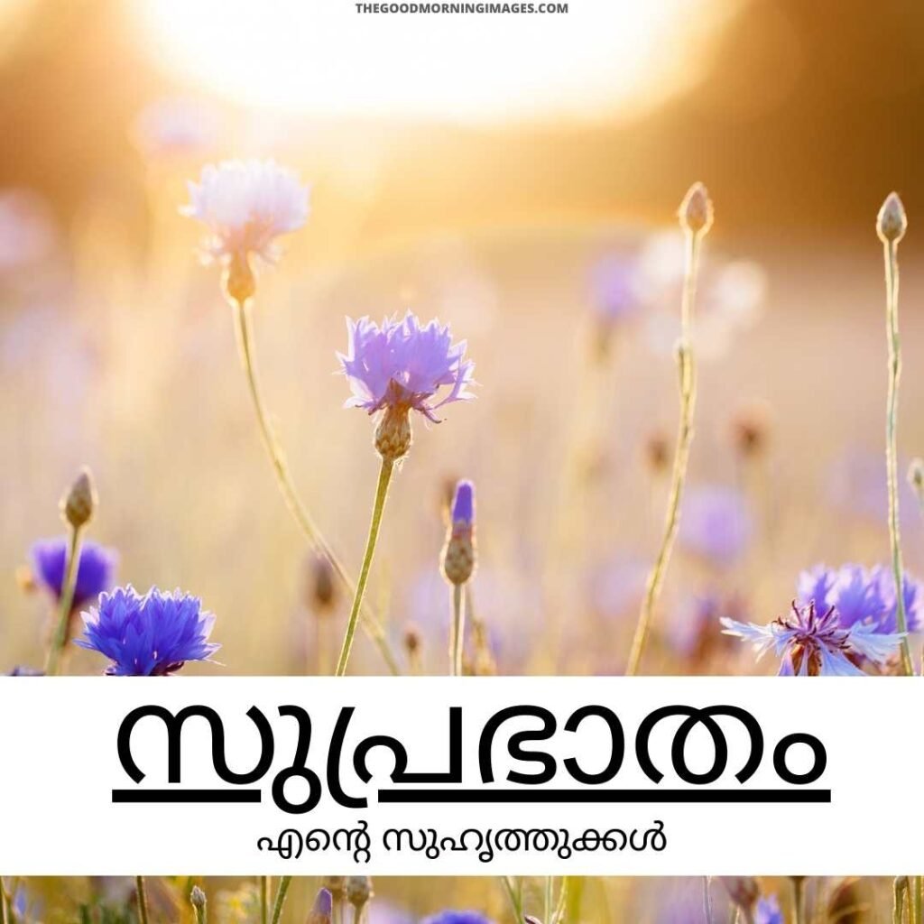 Best Good Morning Malayalam