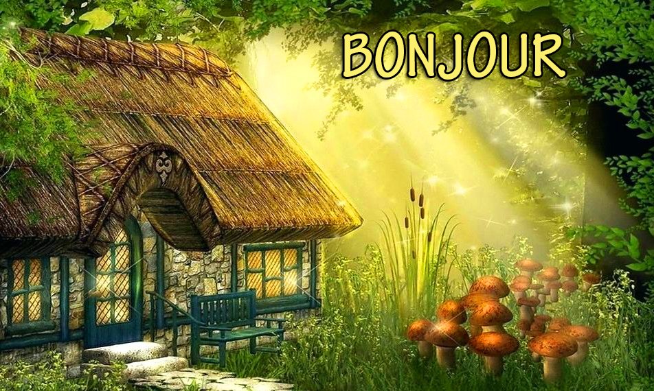 Bonjour Nature Image