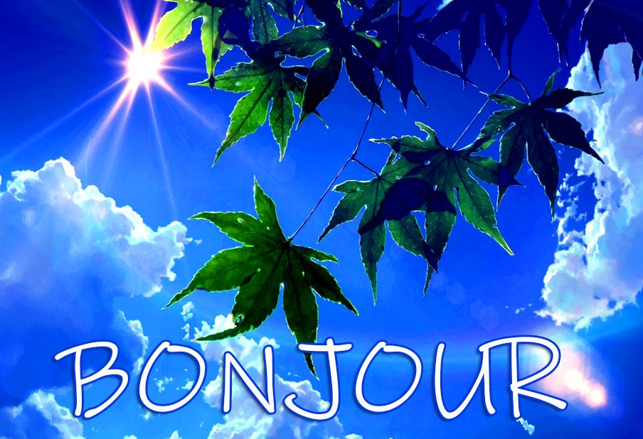 Bonjour Wallpaper