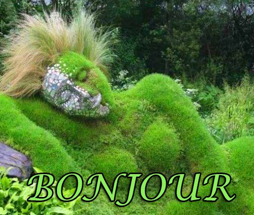 Creative World Bonjour Image