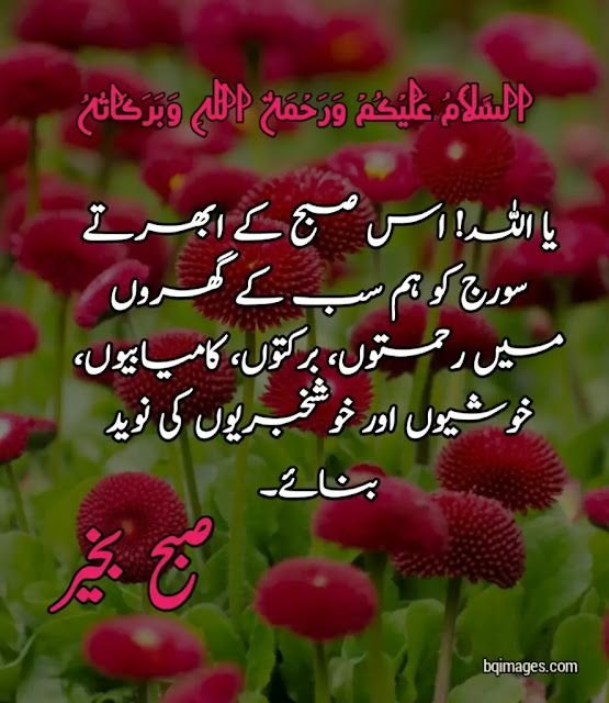 Fabulous Good Morning Urdu Picture