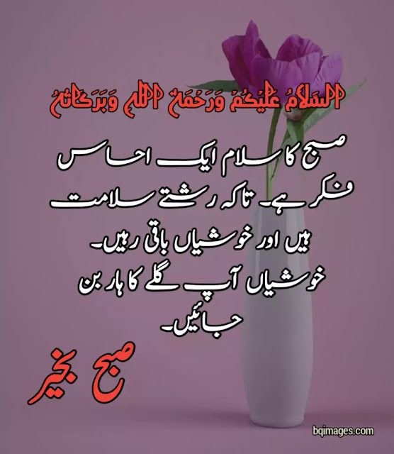 Fantastic Good Morning Urdu Photo