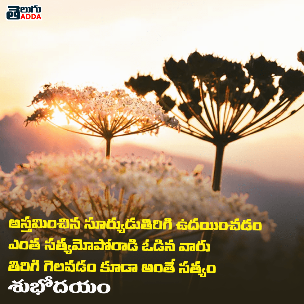 Fantastic Telugu Quote Good Morning Photo