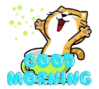 Funny Good Morning Cat Gif